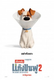 The Secret Life of Pets 2 poster