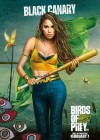 Birds of Prey: And the Fantabulous Emancipation of One Harley Quinn poster