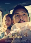 Blue Bayou poster