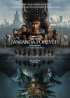 Black Panther: Wakanda Forever poster