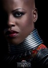 Black Panther: Wakanda Forever poster