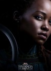 Black Panther: Wakanda Forever poster