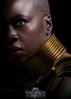 Black Panther: Wakanda Forever poster