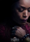 Black Panther: Wakanda Forever poster