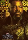 Black Panther: Wakanda Forever poster