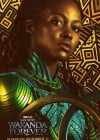 Black Panther: Wakanda Forever poster