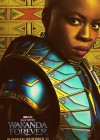 Black Panther: Wakanda Forever poster