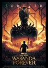 Black Panther: Wakanda Forever poster