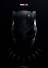 Black Panther: Wakanda Forever poster