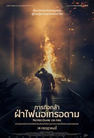 Notre-Dame on Fire poster