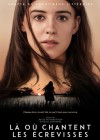 Where the Crawdads Sing poster