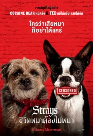 Strays poster