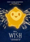 Wish poster