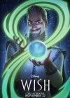 Wish poster