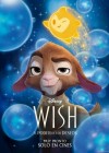 Wish poster