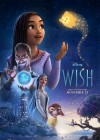 Wish poster