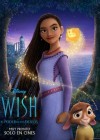 Wish poster
