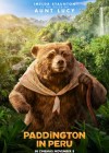 Paddington in Peru poster