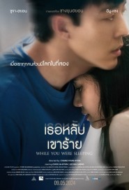 While You Were Sleeping poster
