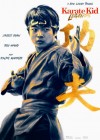 Karate Kid: Legends poster