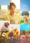 Midnight Sun poster