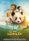 Moon The Panda poster