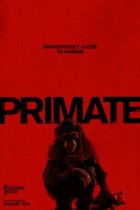 Primate