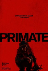 Primate poster