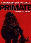 Primate poster