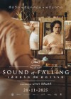 Sound of Falling poster
