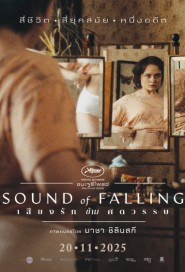 Sound of Falling poster