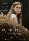 Sound of Falling poster