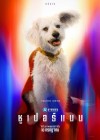 Superman poster