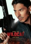Wildcat poster