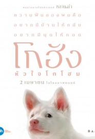 โกฮัง..หัวใจโกโฮม poster
