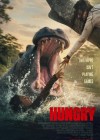 Hungry poster