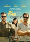 In the Grey poster