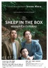 Sheep In The Box poster