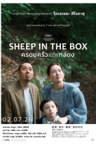 Sheep In The Box