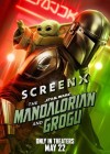 Star Wars: The Mandalorian and Grogu poster