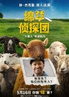 The Sheep Detectives poster