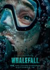 Whalefall poster