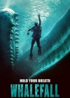 Whalefall poster