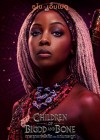 Children of Blood and Bone poster