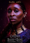 Children of Blood and Bone poster
