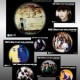 ส่ง 22 อัลบั้มในใจคนฟัง ฉลอง 25 ปี จีเอ็มเอ็ม แกรมมี่