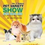 The 1st Pattaya Pet Variety Show