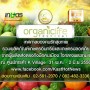Organic Life Festival