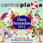 Flora Sensation 2013
