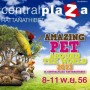 Amazing Pet Around The World 2013